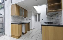 Dallington kitchen extension leads